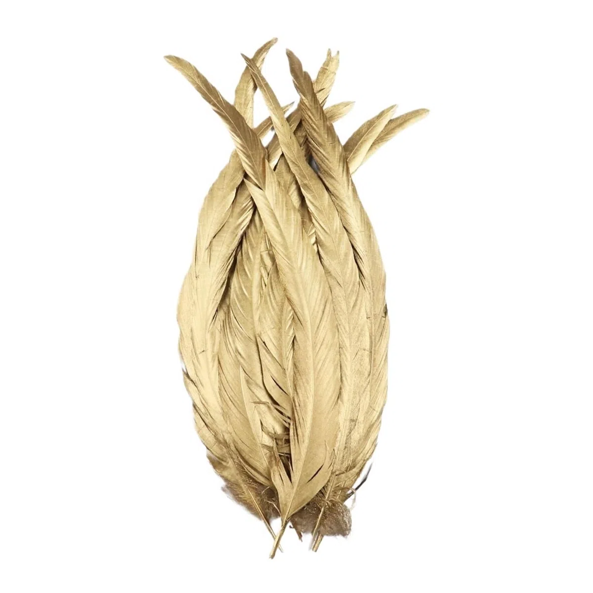 Plumes de poulet à Immersion or et argent, artisanat 12-14 pouces/30-35cm, plumes de queue de poulet, accessoires de bricolage, décoration de plumes(Gold,100PCS)